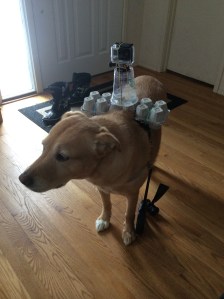 Shelby is all set to record the adventure.