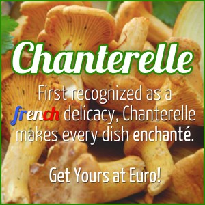 chanterelle