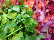 cilantro-onion-tomato