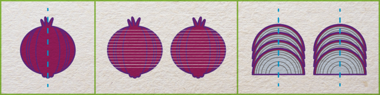 cut-onions-for-salsa