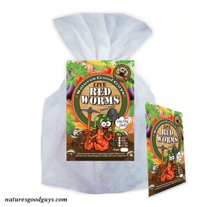 red-wigglers-natures-good-guys