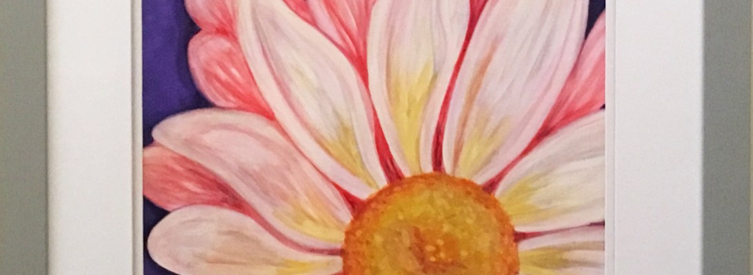 randie-marguerite-daisy