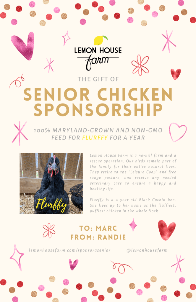Certificate with a photo of Flurffy and the text, "The Gift of Senior Chicken Sponsorship. 100% Maryland-grown and non-GMO feed for Flurffy for a year.

Lemon House Farm is a no-kill farm and a rescue operation. Our birds remain part of the family for their entire natural lives. They retire to the "Leisure Coop" and free range pasture, and receive any needed veterinary care to ensure a happy and healthy life.

Flurffy is a 4-year-old Black Cochin hen. She lives up to her name as the fluffiest, puffiest chicken in the whole flock.

To: Marc
From: Randie

lemonhousefarm.com/sponsorasenior

@lemonhousefarm"